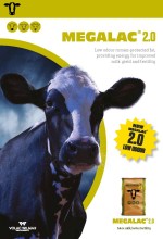 Megalac 2.0 page 1 brochure listing